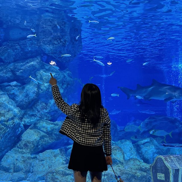테마가 다양한 코엑스 아쿠아리움🐠🫧