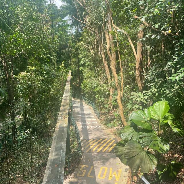 Imbiah Bridge in Sentosa