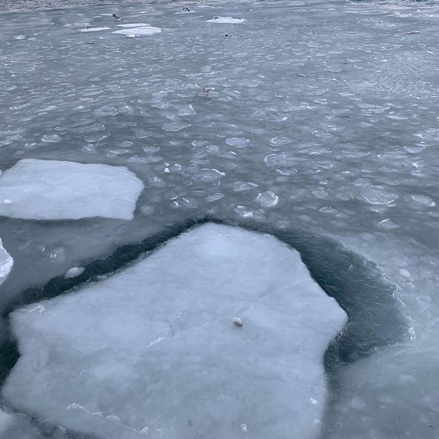 北海道紋別破冰船 ❄️