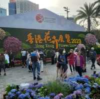 一年一度的香港花卉展覽,終於復辦喇🥳