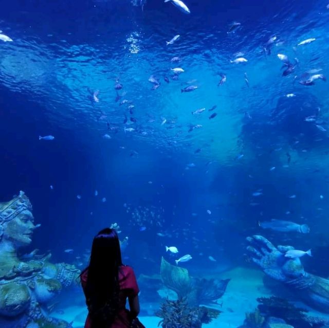 Aquaria Phuket