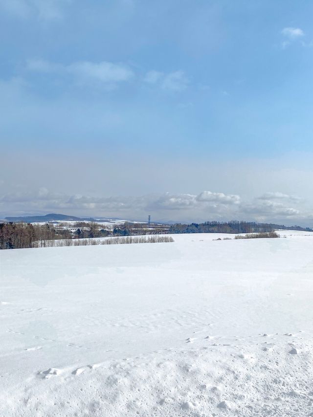 최고 설경을 패치워크 로드에서.. ❄️