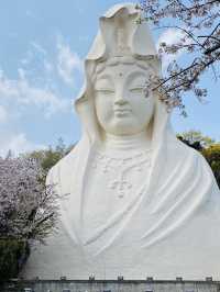 "The Goddess of the White Robe"