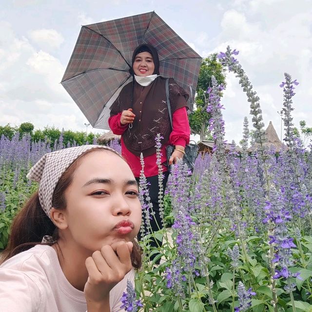 วันครอบครัว ณ สวนลุงเวศน์ จังหวัดตรัง วันครอบครัว ณ สวนลุงเวศน์ จังหวัดตรัง