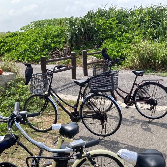 波照間島　日本最南端の碑