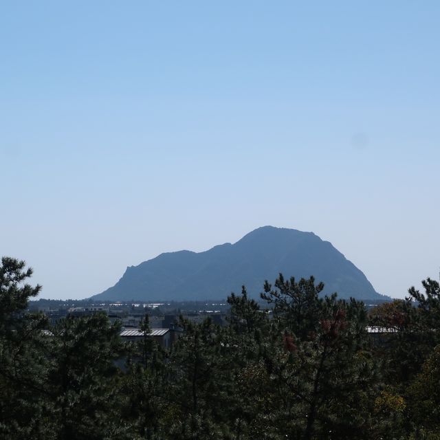 제주도 곶자왈 도립공원, 가벼운 트레킹 코스로 추천💚