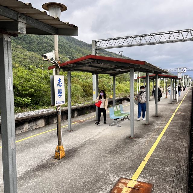 花東縱谷二日行