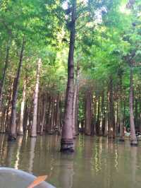 到昆明‘撈漁河濕地公園’划船去-位置實戰攻略