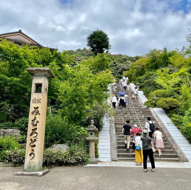  【京都】花の御寺「三室戸寺」