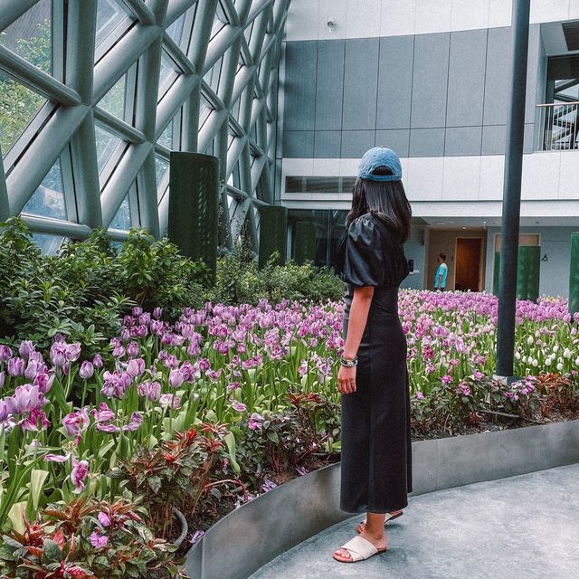 โดมดอกไม้ระยอง 