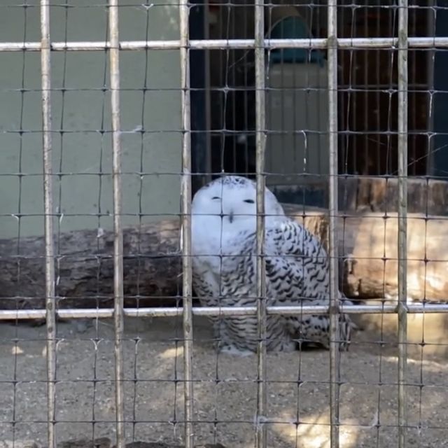 《福岡》動物と植物を同時に楽しめるSPOT🐒