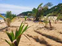 Lunch at Relax at Cham Island Beach