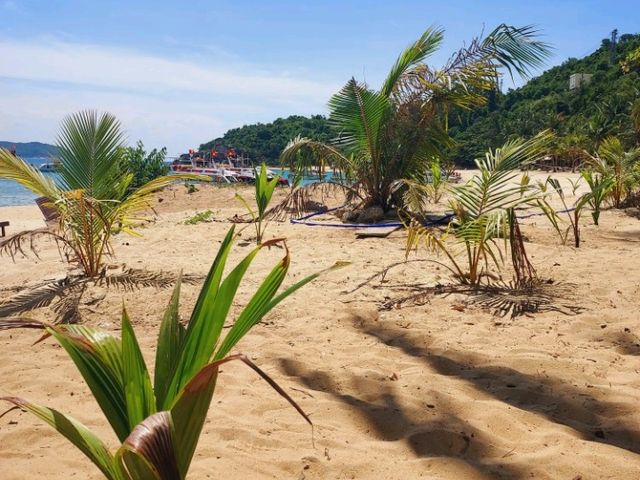 Lunch at Relax at Cham Island Beach