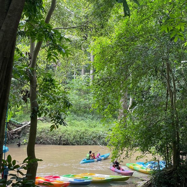 น้ำผุดธรรมชาติ เขาใหญ่