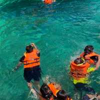 Snorkeling At Chicken Island