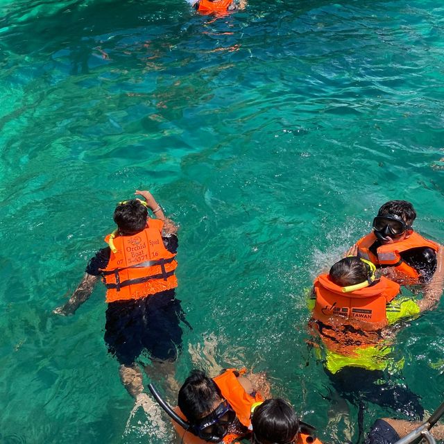 Snorkeling At Chicken Island