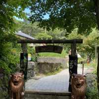 ［釜山］一小時來回快閃登山～金剛山纜車之旅