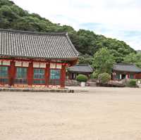 초록초록한 숲길, 산책하기 좋은 고창 선운사