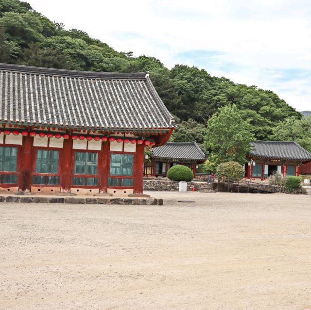 초록초록한 숲길, 산책하기 좋은 고창 선운사