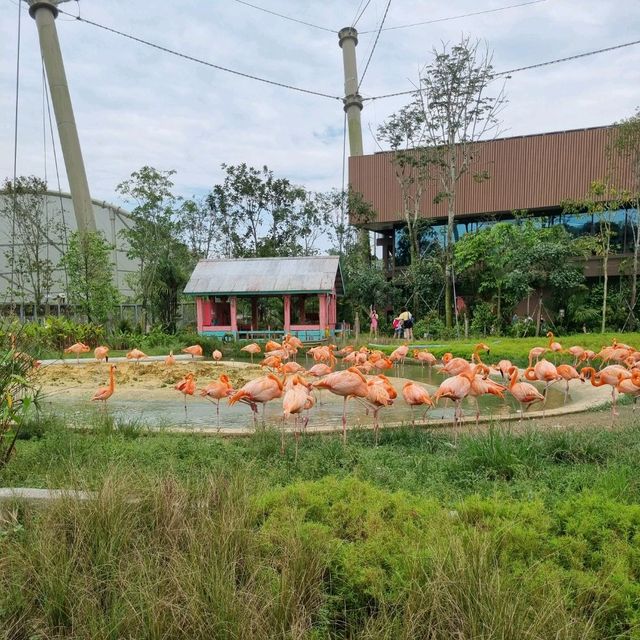 Singapore's Largest Bird Paradise 🦜🐦