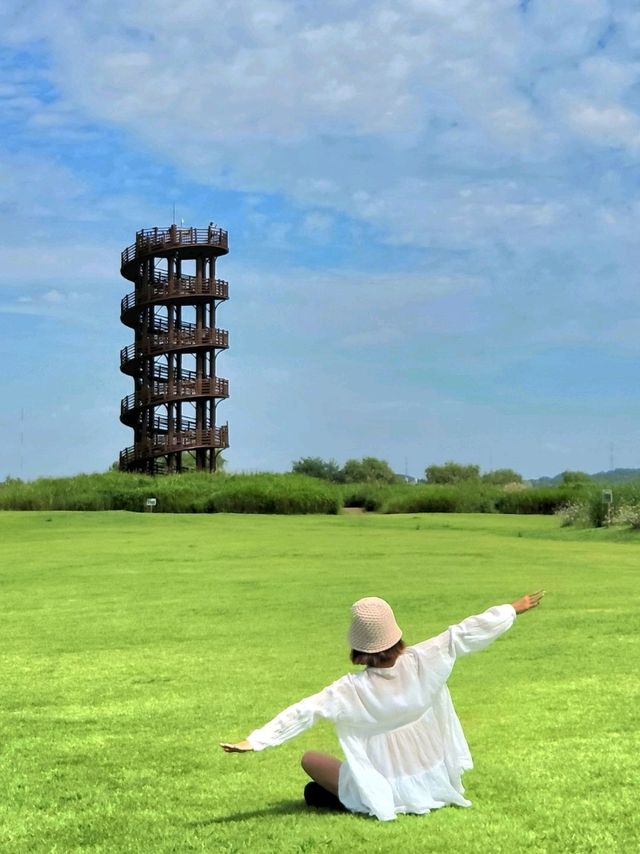 서울근교 힐링스팟 💚🌿갯골생태공원
