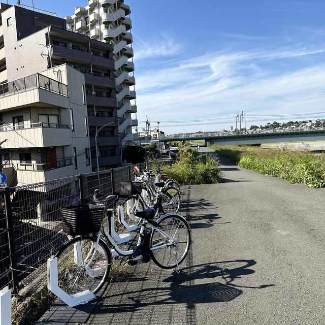 📍多摩川/東京