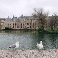 荷蘭🇳🇱海牙The Hague (Den Haag)🚶🏻‍♀️🚶🏿🚶🏻‍♂️ Hofvijver 散步看風景