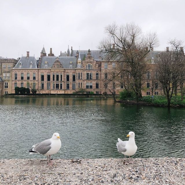 荷蘭🇳🇱海牙The Hague (Den Haag)🚶🏻‍♀️🚶🏿🚶🏻‍♂️ Hofvijver 散步看風景
