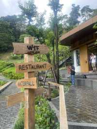 wtf cafe’ camp 🏕️🌳