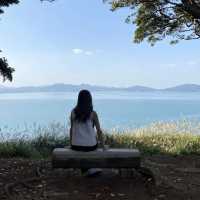 《福岡》四季折々の草花が楽しめるオススメSPOT🌼