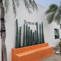 คาเฟ่น่ารักๆ ย่านปทุมธานี  Sunday in 345  