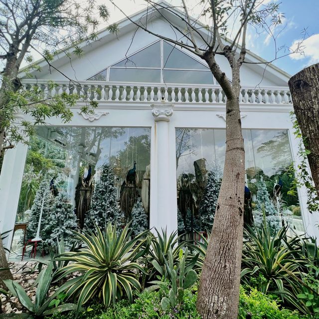 HLNG Cafe Phattalung, a beautiful dreamy cafe
