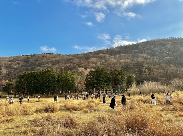 유후인에가면 여기도 가보세요🔥