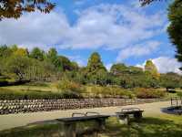 Fruit Park Paradise in Yamanashi 