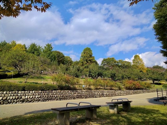 Fruit Park Paradise in Yamanashi 