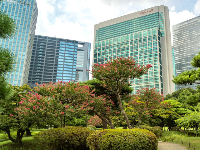 A park in the busy city of Tokyo