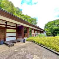 Hotspring experience in Hakone