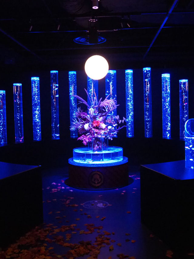 【東京(銀座)】季節ごとに楽しめて、この冬に行きたい！金魚のアートアクアリウム