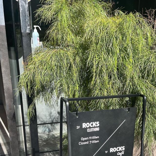 ROCKS CAFE：時尚環境，絕對值得推薦