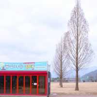 겨울 경치의 진수 자라섬