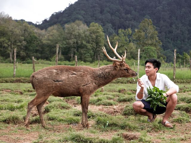 A visit to Bandung’s Serene Deer Park