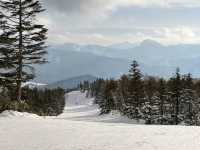 Shiga Kogen