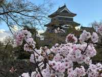 長野・松本。国宝『松本城』   