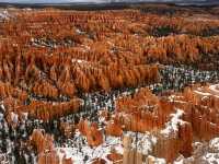 Unbelievable other worldly views in Bryce 