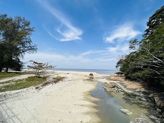 Penang National Park 