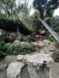 澳門｜盧廉若公園