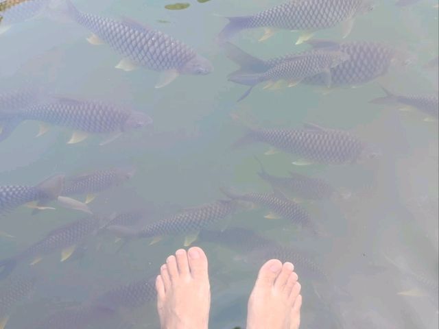 ท่าฝรั่ง ที่พักริมน้ำสุดชิลล์