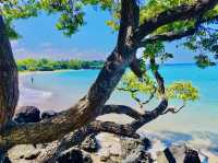 Maunalua Bay Beach Park