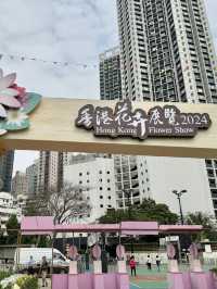 香港也有超美向日葵花海 香港花卉展覽2024