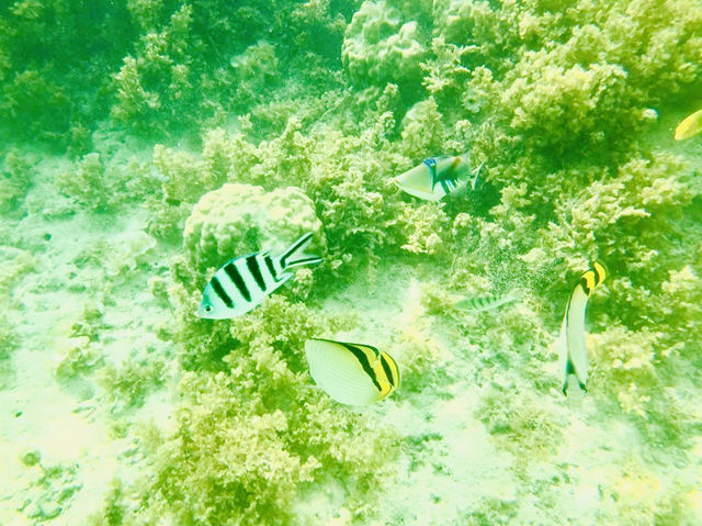 Nakamoto Beach Nakamoto Beach